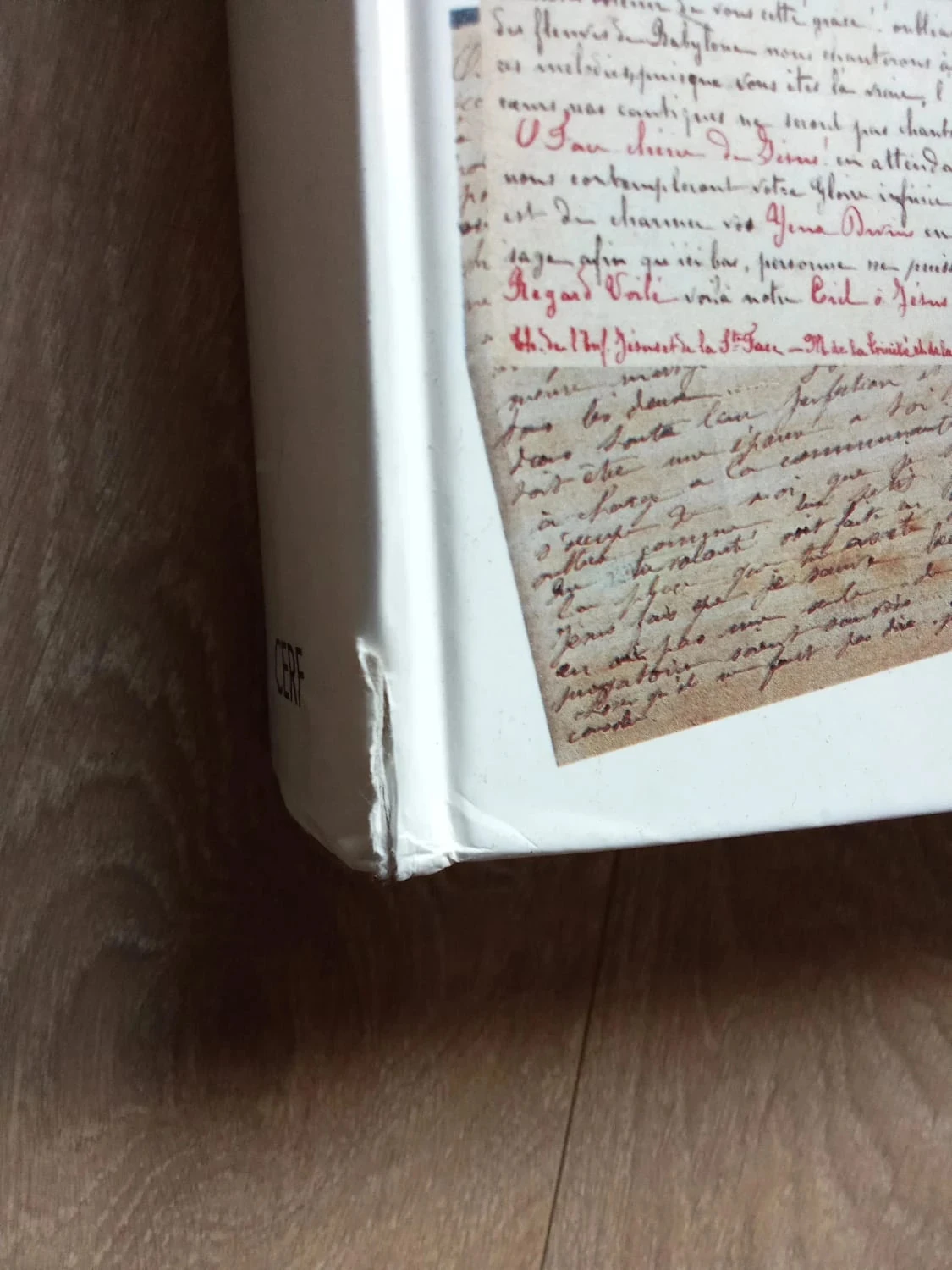 De woorden van Sainte Thérèse de l'Enfant-Jésus, Algemene concordantie – photo 2